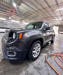 جيب رينيجيد